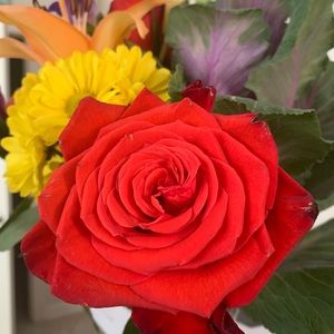 Meet your Posher, Wesley